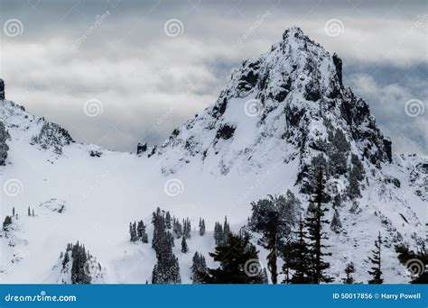Mt Rainier Low Snow Fall On Near By Peaks Stock Photo Image Of