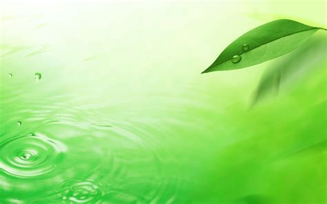 Green Water Wallpapers Top Free Green Water Backgrounds Wallpaperaccess