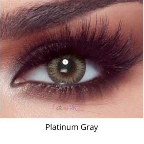 Bella Platinum Gray Oneday Collection Buy Contact Lenses In