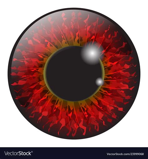 Red Iris Eye Realistic Set Design Isolated Vector Image