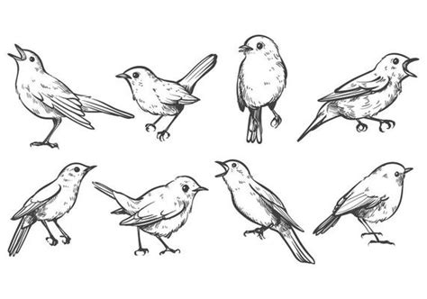 Nightingale Vector Art Icons And Graphics For Free Download