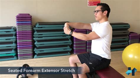 Seated Forearm Extensor Stretch Youtube