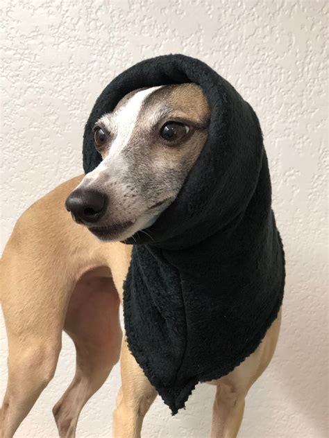 Snood Reversible Hoodie Hat For Italian Greyhounds In Double Layer