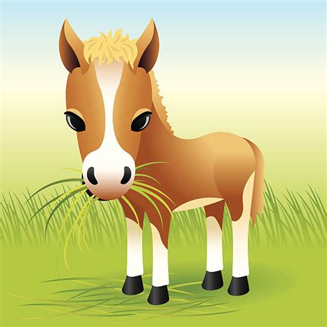 Horse Eating Grass Illustrations Royalty Free Vector Graphics And Clip
