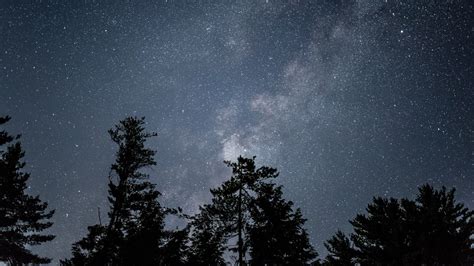 Sternenhimmel Sterne Nacht Bäume Bild Foto Desktop Hintergrund
