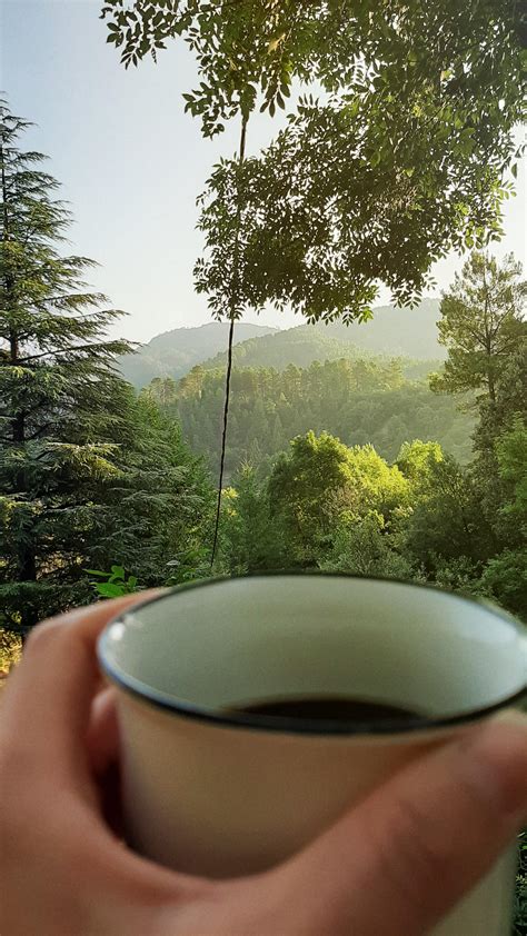 An Early Morning Drinking Coffee And Enjoying Nature My Dream Is To