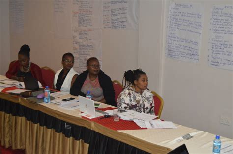 Africa Leadership Sex Workers Academy Aleswa Training Of Trainers Tot Aswa Alliance Africa