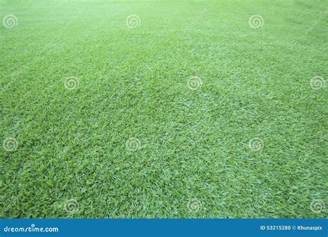 Green Grass Floor Use As Natural Backgroundbackdrop And Texture Stock