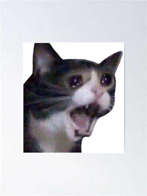 Sad Cat Meme Poster Ubicaciondepersonascdmxgobmx