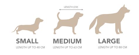 Fit Guide And Sizing Chart Ortho Dog Vlrengbr