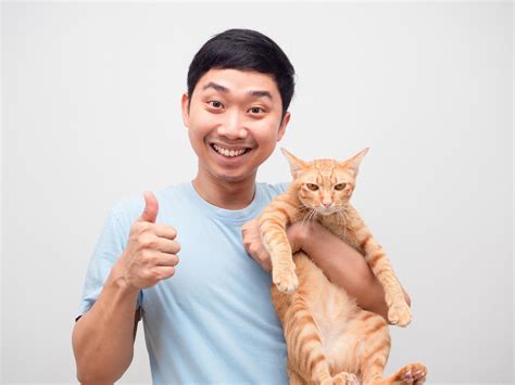 Young Man Holding Domestic Lovely Cat Feeling Happy And Show Thumb Up