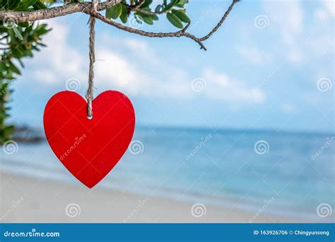 Close Up Of Heart On The Tree On Tropical Beach With Seascape