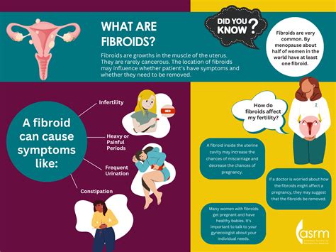 what are fibroids