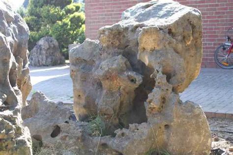 Neben pflastersteinen und granit können sie dafür auch feldsteine verwenden. Steingarten anlegen,Felsen,Steingarten, Garten Felsen ...