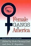 Female Gang Members The Social Dynamics Of Female Involvement In Gang