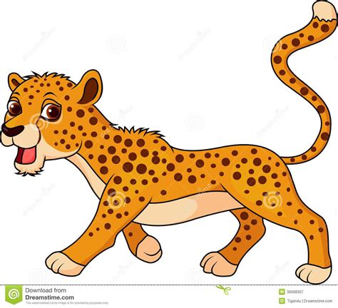 Cute Cheetah Cartoon Royalty Free Stock Photography Image 30568307