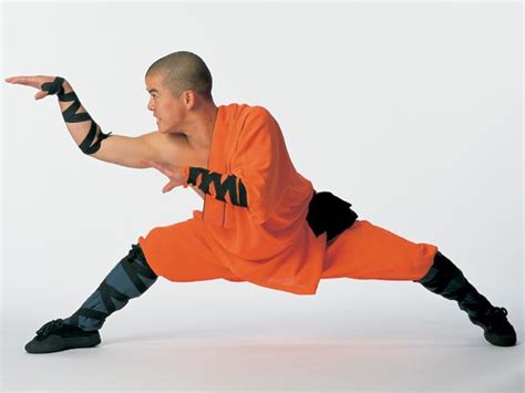 kung fu un art martial qui fait la renommée de la chine le guide pratique des sportifs