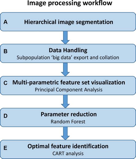 Image Processing Workflow Steps Involved In The Imaging Process