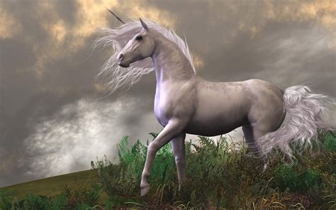 Unicorn White Horse From Mountain Fantasy Art Desktop Hd Wallpapers For