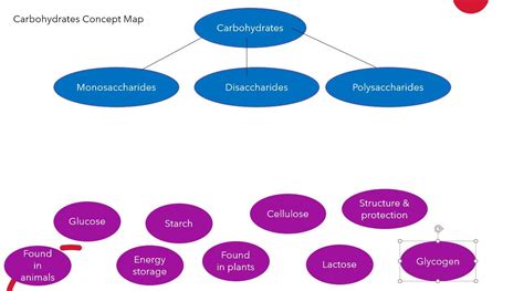 Solved Carbohydrates Concept Map Carbohydrates Chegg