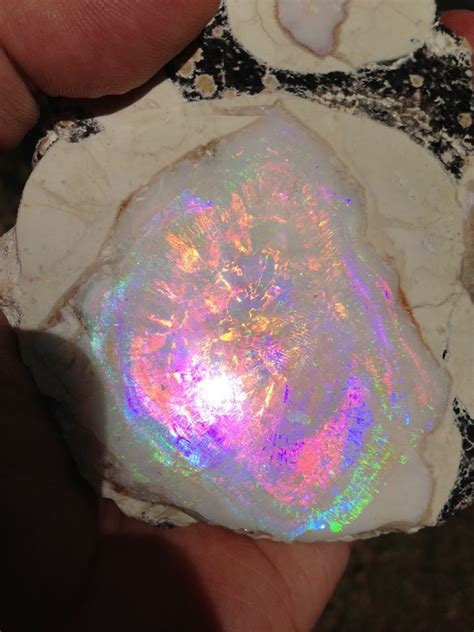Geyser Opal From Spencer Idaho Usa Spenser Opal Was Deposited In Volcanic Rocks App 4 Million