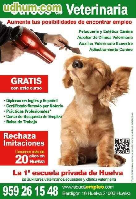 CURSO DE PELUQUERIA CANINA HUELVA