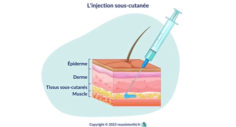 Guide Pratique Des Injections Sous Cutanées Réussis Ton Ifsi