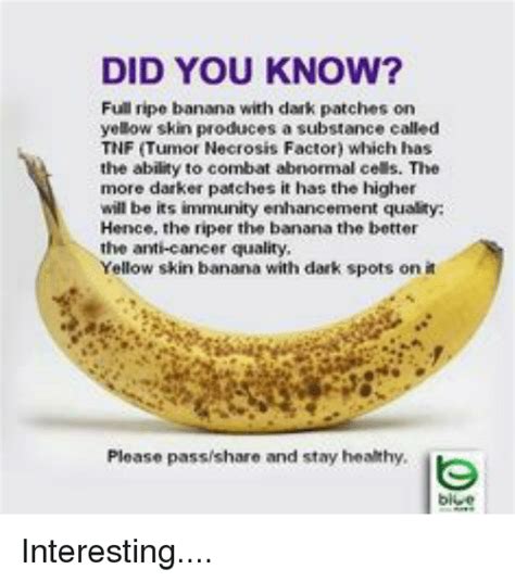 Whether you tell your employer that you have cancer is 100% your choice. DID YOU KNOW? Full Ripe Banana With Dark Patches on Yellow ...