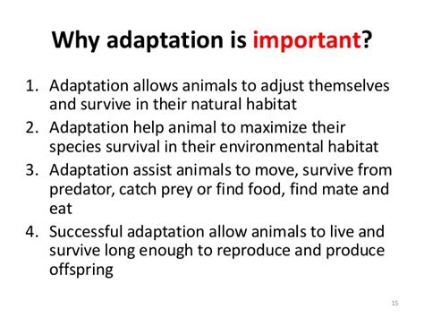 Animal Adaptation Research 4th Our Digital Classroom