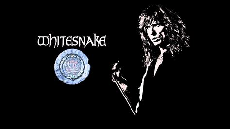 Whitesnake Wallpapers Top Free Whitesnake Backgrounds Wallpaperaccess