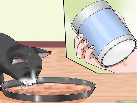 How To Feed Kittens 14 Steps With Pictures Wikihow Atelier Yuwa