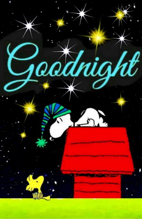 Good Night Snoopy
