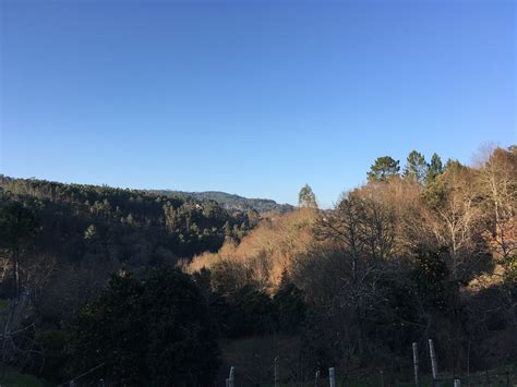 Melga O Viana Do Castelo Portugal February Sergei Gussev