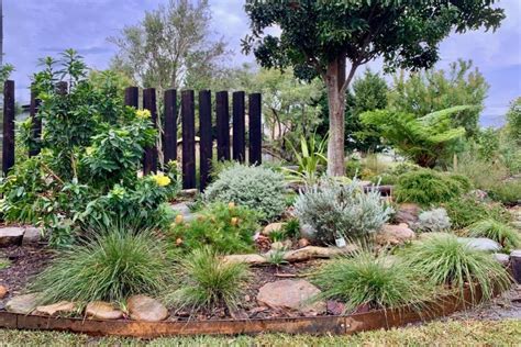 Native Planting Design A Sustainable Approach To Landscaping Artourney