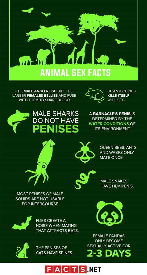 Interesting Facts About The World You Probably Didnt Know 40 Pics