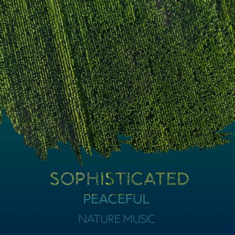 Zzz Sophisticated Peaceful Nature Music Zzz Album By Nature Sound Collection Spotify