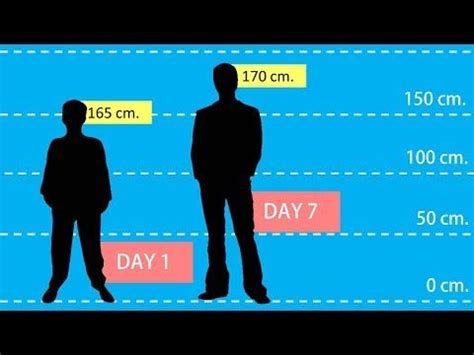 Exercise increase height fast naturally in 1 month | grow height after 18. How To Increase Height in 1 Week By 9 Super Foods - SHOCKING TRUTH - YouTube | Growth hormone ...