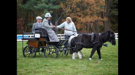 Southern New England Carriage Driving Association Carriage Days