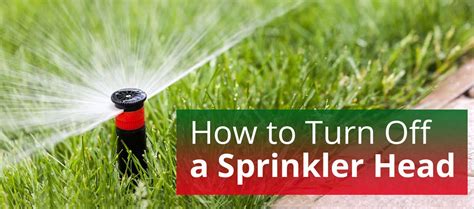 How To Turn Off A Sprinkler Head Shut Them Individually