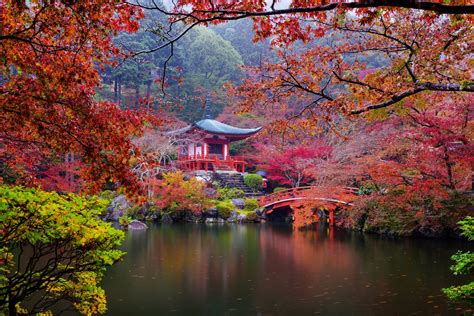 Autumn Japanese Garden 4k Ultra Hd Wallpaper Background Image 5600x3734