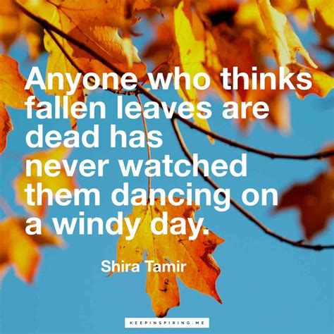 Fall Quotes And Sayings Keep Inspiring Me Autumn Quotes Funny True
