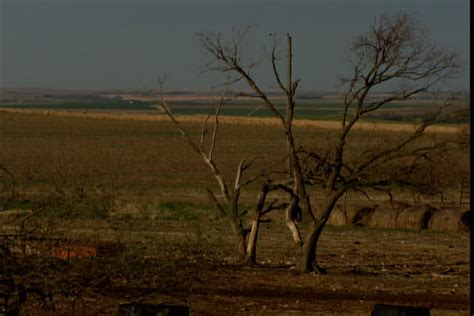 Flat Kansas Landscape Footage Stock Clips