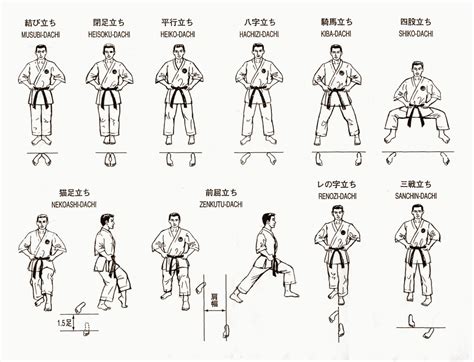 Posiciones Karate Karaté Judo Aïkido