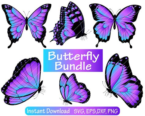 Butterfly Svg Butterfly Bundle Svg Files Butterfly Svg Etsy