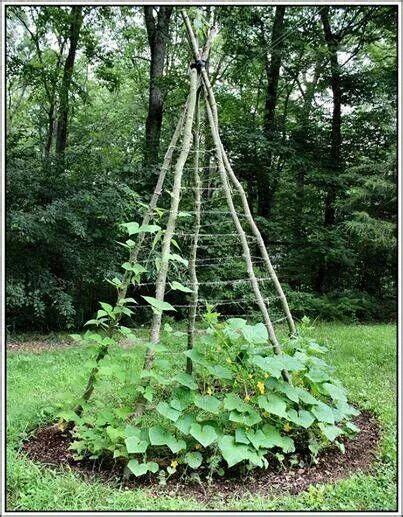 Diy Trellis Ideas For Beans Weekend Gardening Building A Trellis For