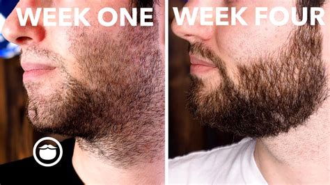 how to grow your first beard week four finale youtube