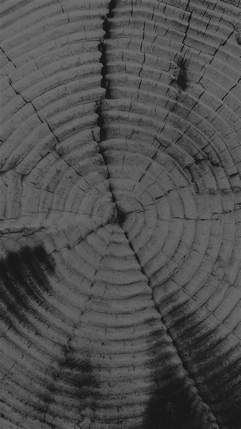 Old Tree Texture Pattern Dark Iphone 8 Wallpapers Free Download