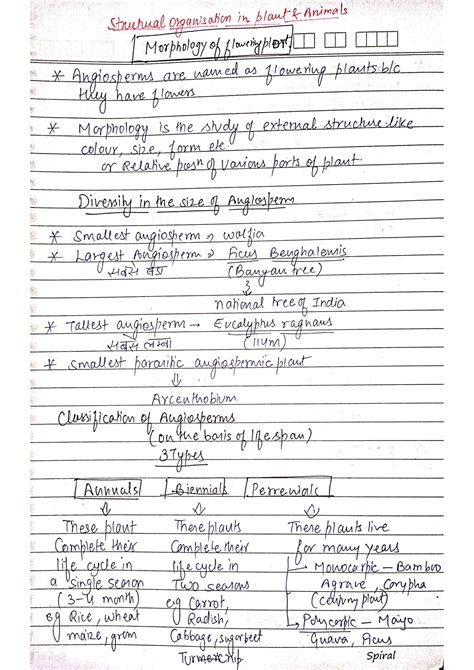 Chapter Morphology Of Flowering Plants Class Biology Notes For
