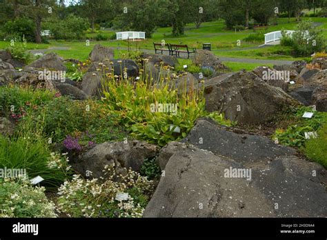 Botanical Garden In Reykjavik Iceland Europe Stock Photo Alamy