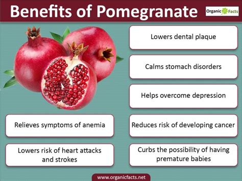 A lot of super foods are loaded with nutrients, vitamins and enzymes that help get rid of common health and skin problems. Benefits of Pomegranate | Nikki Kuban Minton